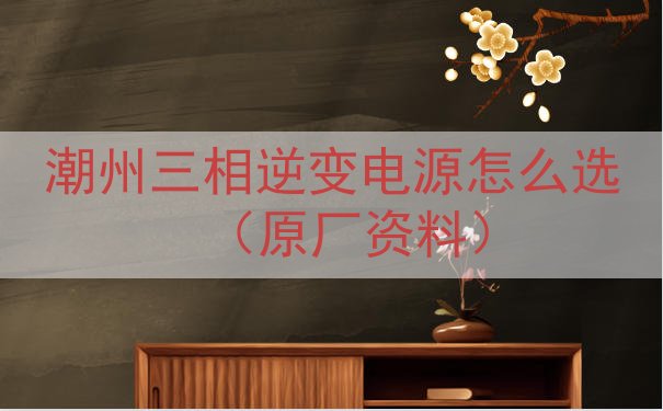 潮州三相逆变电源怎么选（原厂资料）